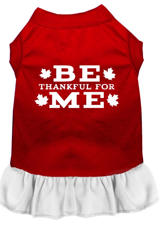 Be Thankful for Me Screen Print Dress Red with White Med